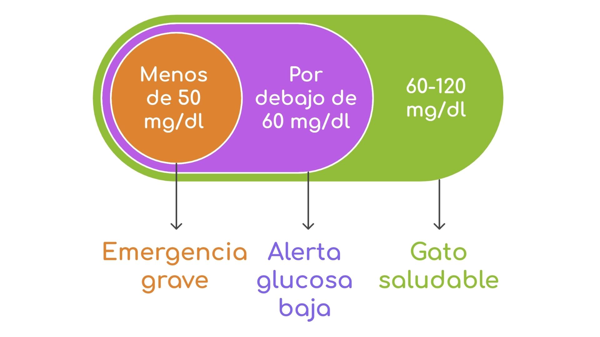 niveles de glucosa esquema